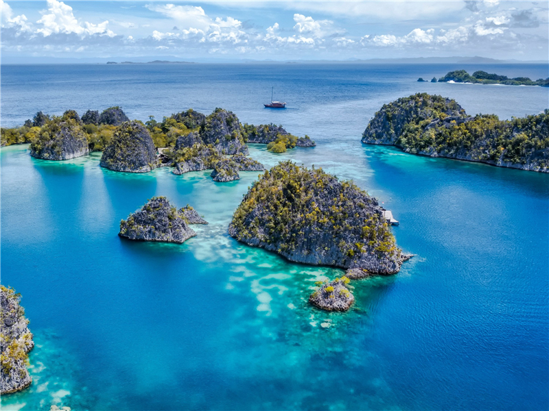 Girişim Sermayesi Yatırımlarının Vergisel Boyutu ve Teşvik Mekanizmaları