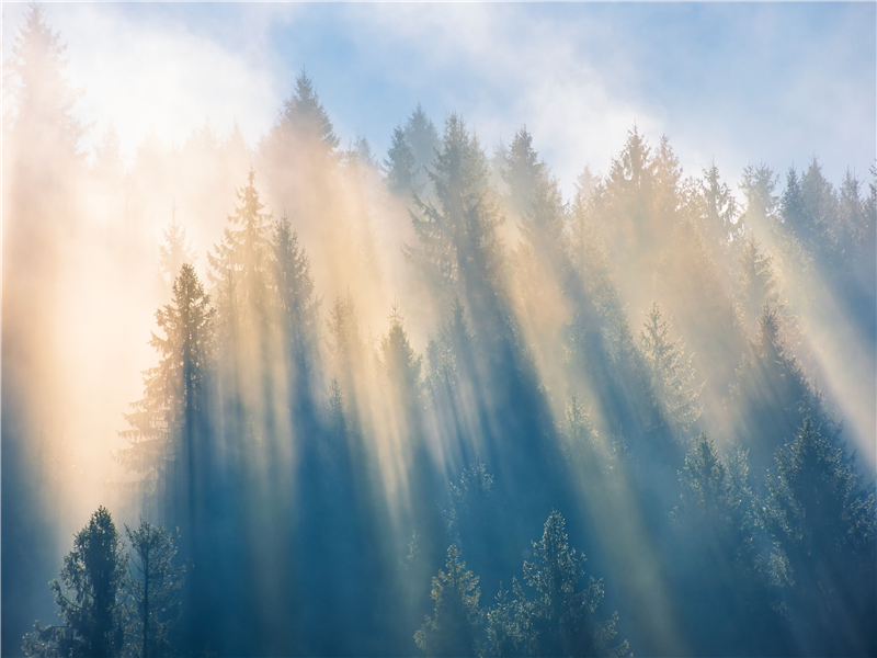 Dijital Ekonomide Hizmet İhracı Kavramının Vergisel Sınırları KVK 10/1-ğ Maddesinin Yazılım ve Dijital Platform Gelirleri Açısından Değerlendirilmesi