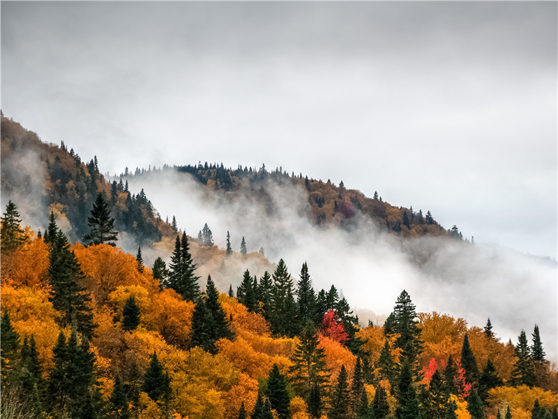 SOSYAL GÜVENLİK MEVZUATI ÇERÇEVESİNDE İŞYERİ TESCİL İŞLEMLERİ