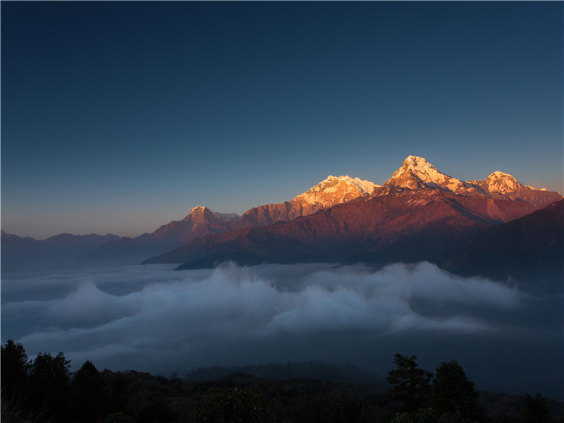 Türk Vergi Hukukunda Trust Yapılarının Nitelendirilmesi ve Vergilendirilmesi